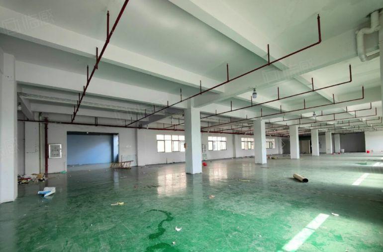 桥头新出原房东标准独院，形象好带全新地坪漆空地大二类消防喷淋