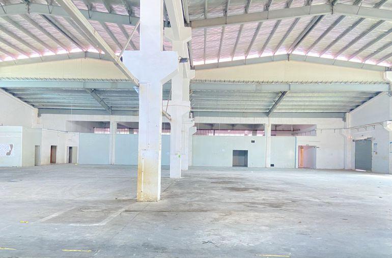 桥头原房东大院单一层8.5米带牛角适合注塑五金模具钣金等等