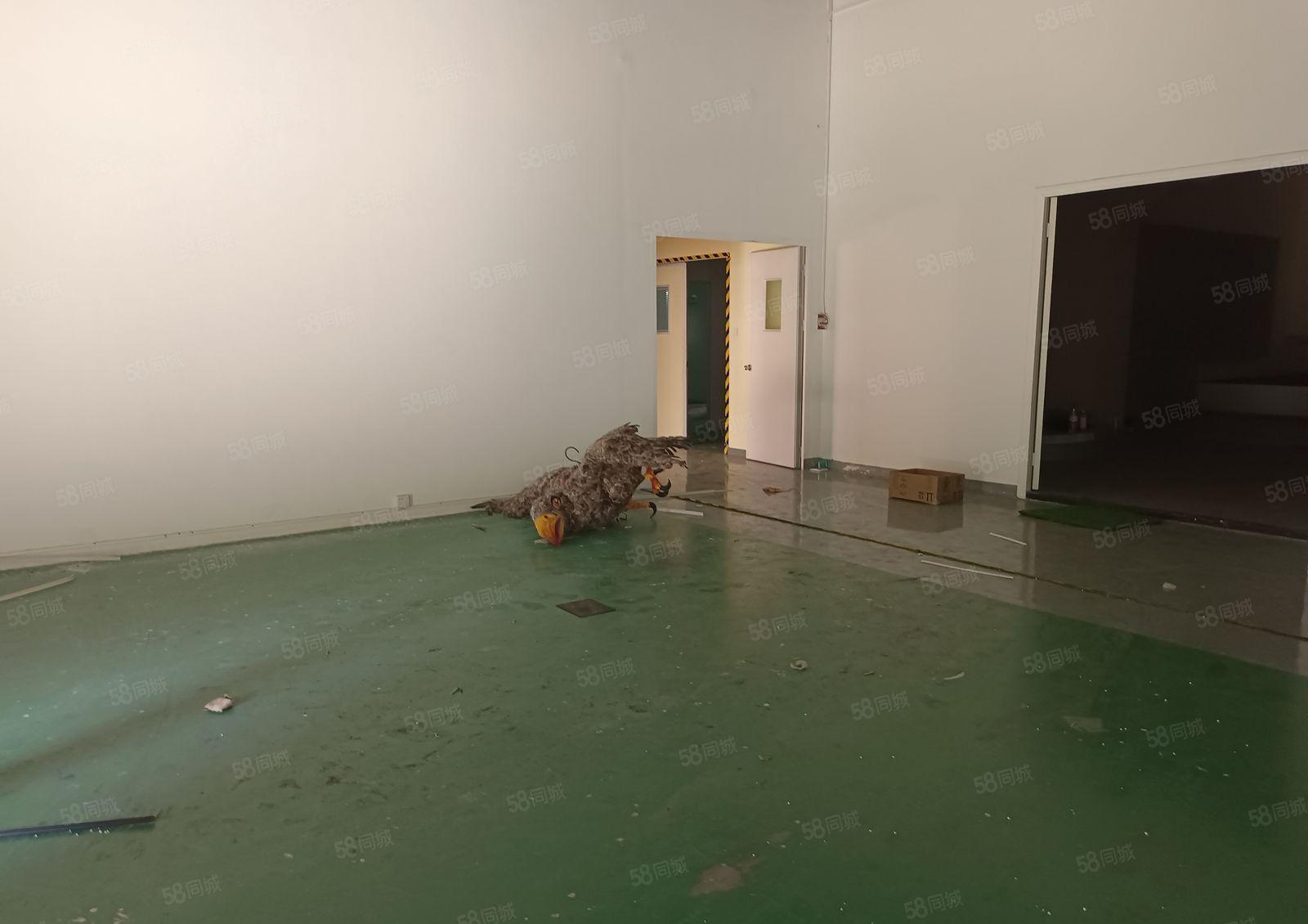 桥头新出标准厂房楼上有现成的地坪漆600平方低价出租地段繁华