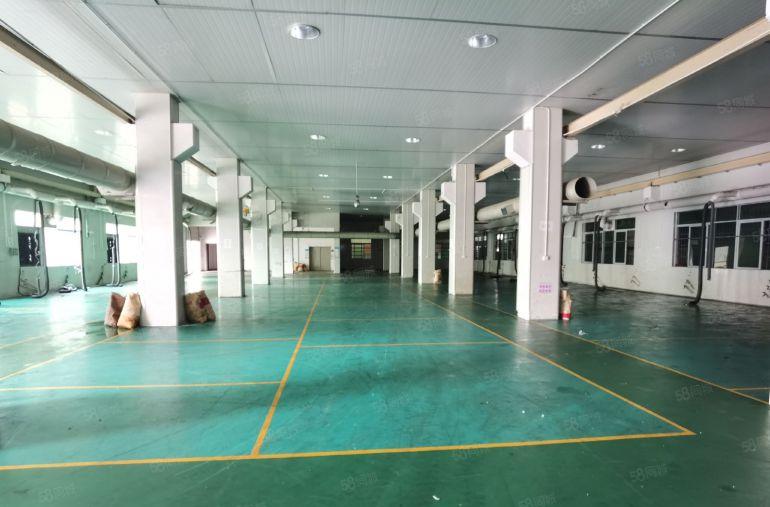 东莞桥头镇6900平独门独院原房东厂房出租可整层分租实际面积