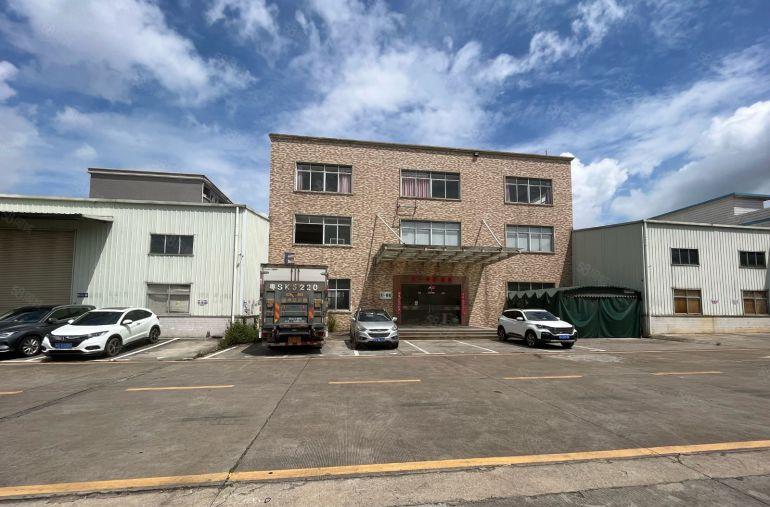 特价10元桥头新出原房东独栋办公楼1000平带精装修