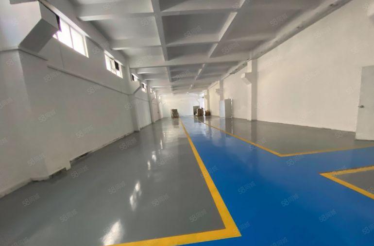 厂房出租  原房东  一楼6.2米  适合注塑五金模具设备等