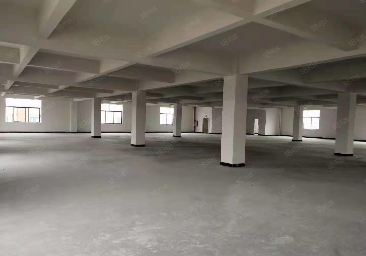 桥头镇原房东独院厂房二楼1950平方，园区空地超大