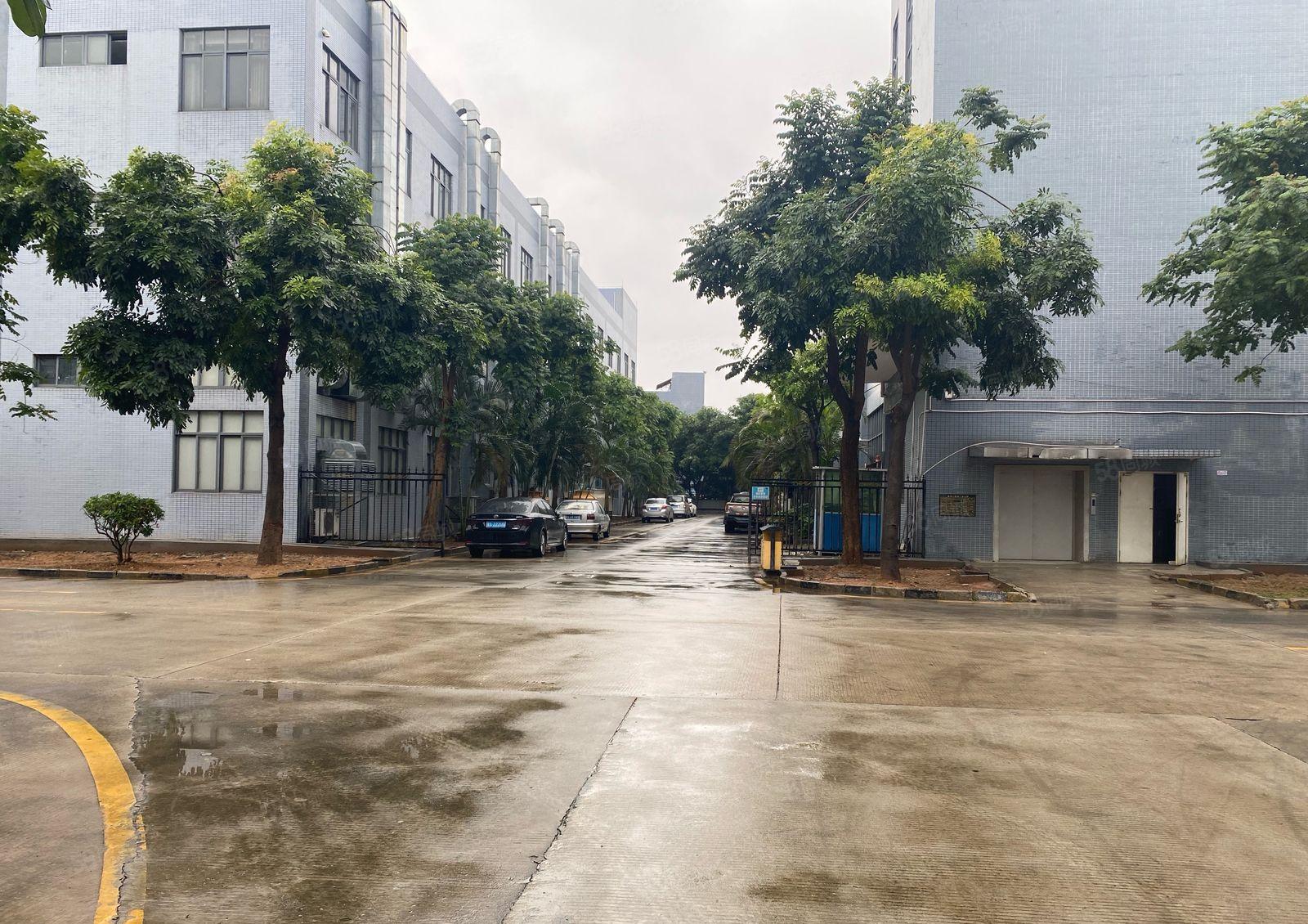 桥头镇新出可办环评原业主3600平方米出租500平方米起租