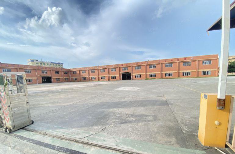 桥头原房东独院厂房出租1000平起分高度12米适合注塑五金