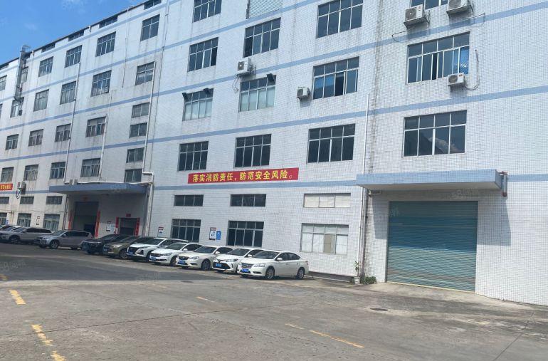 桥头镇新出一楼1000平米，一楼6米高适合模具注塑五金等