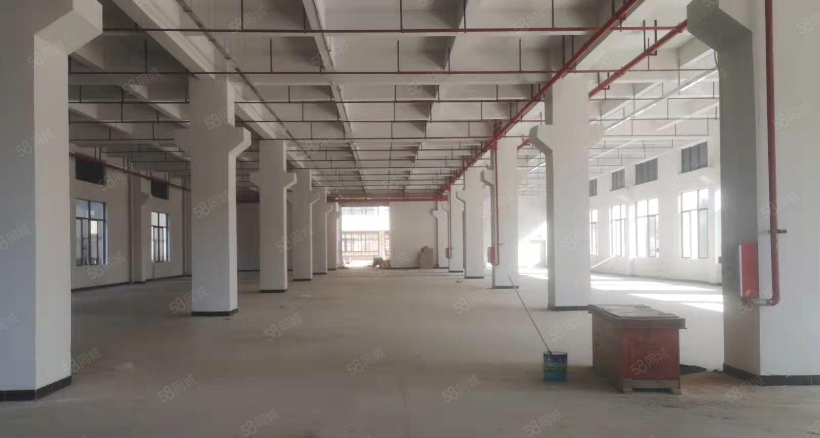 桥头大洲个人原房东带牛角现成卸货平台两部五吨货梯丙二类消防