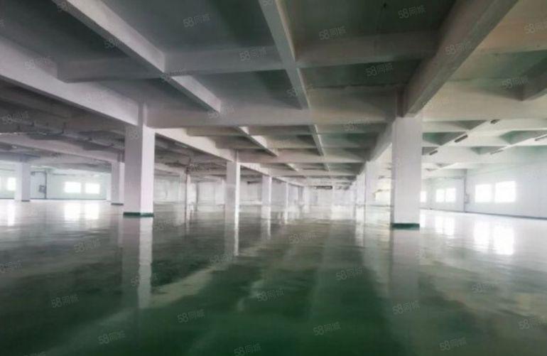 东莞桥头原房东新租厂房4000平方，价格实惠，拎包入驻