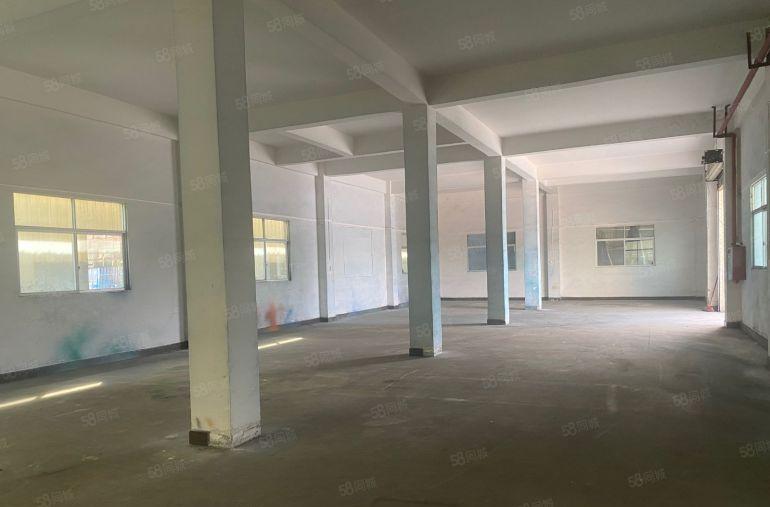 桥头镇新出一楼500平，水电线路齐全有办公室。