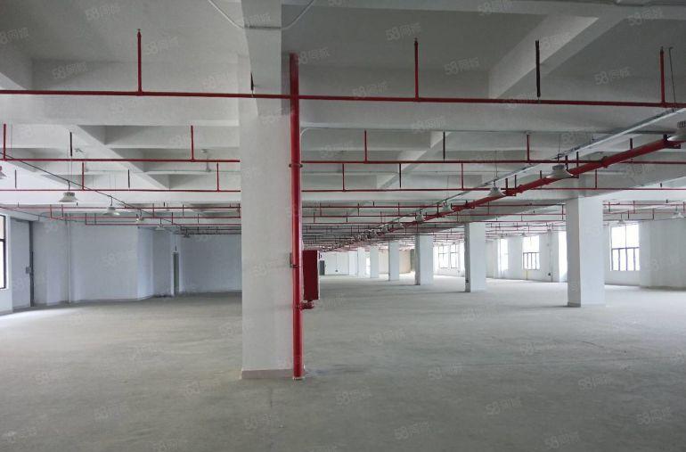 12元起桥头工业区业主厂房出租5000平米使用率高可分租好招