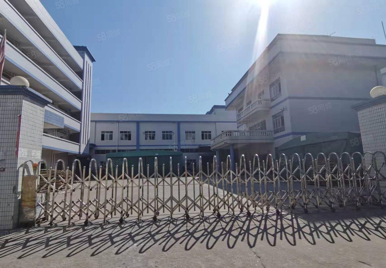 桥头镇新出上市公司形象独院厂房8180平方，厂房面积4850