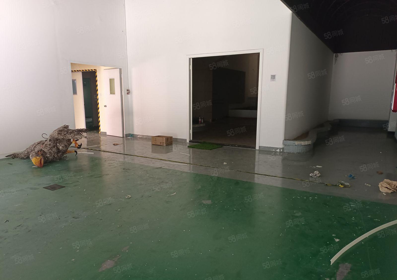 桥头新出标准厂房楼上有现成的地坪漆600平方低价出租地段繁华