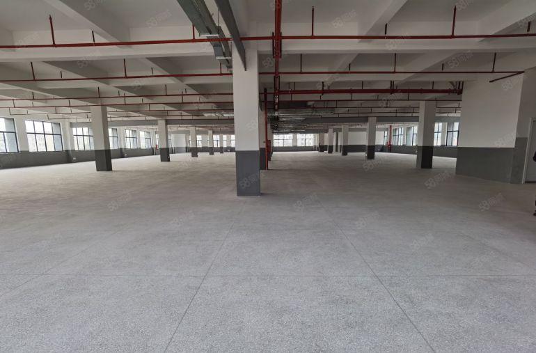 桥头镇整层2500平方全新国有红本高新工业园厂房出租可分租