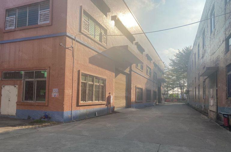 桥头镇新出10米高砖墙结构单一层4000平方米出租。