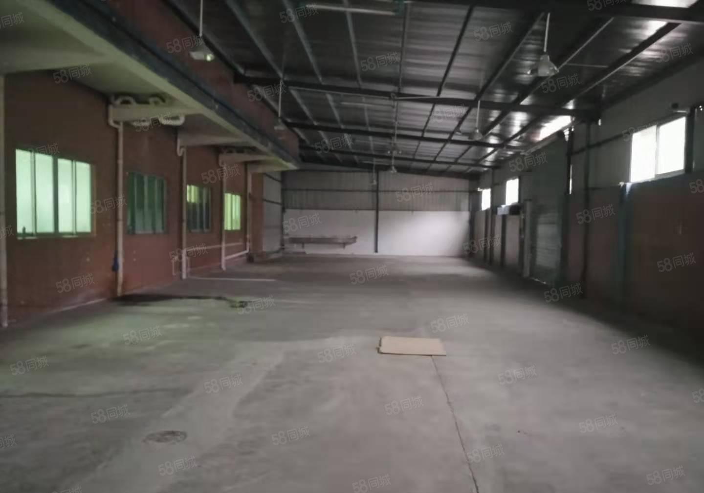 桥头镇新出个人原房东小面积单一层独门独院厂房1700平方出租