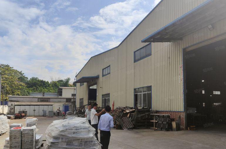 桥头新出原房东钢构小独院 滴水9米 只租10块