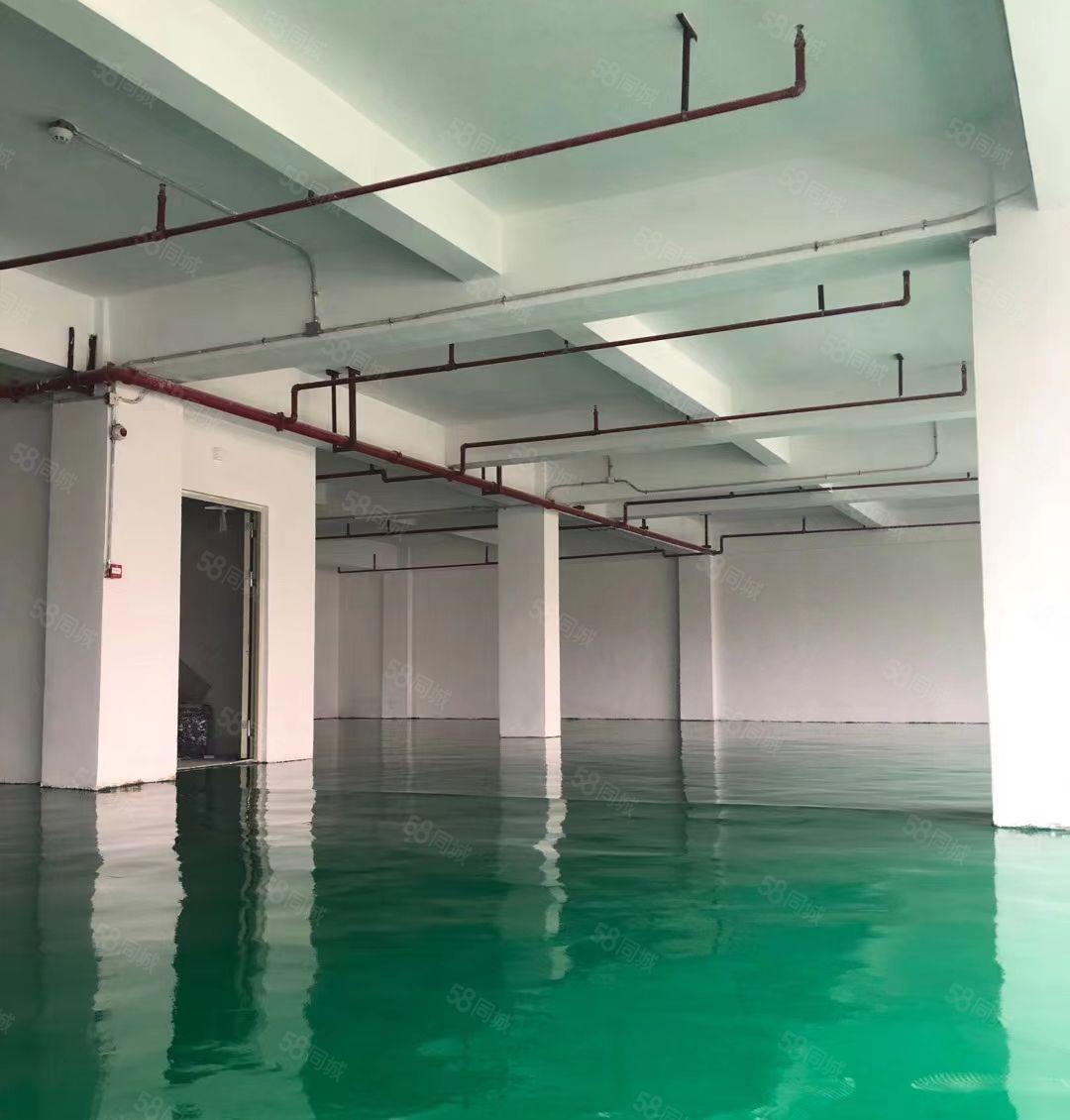 桥头镇新出楼上现成装修电子厂房，小面积800平方，现成装修！