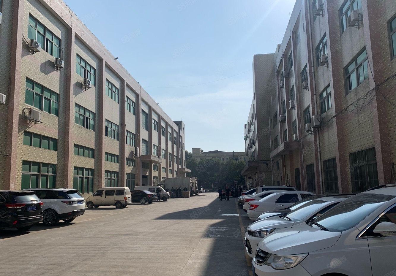 桥头大洲新出原房东标准一楼1800平方6米高带牛角大小可以分