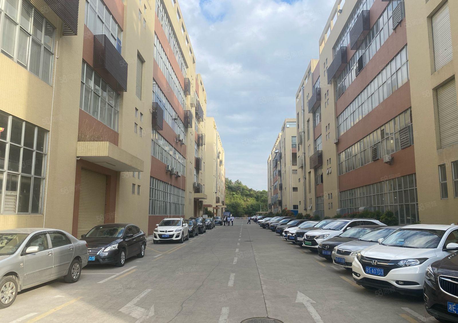 桥头新出2000平原房东厂房出租1000平起租，形象好空地大