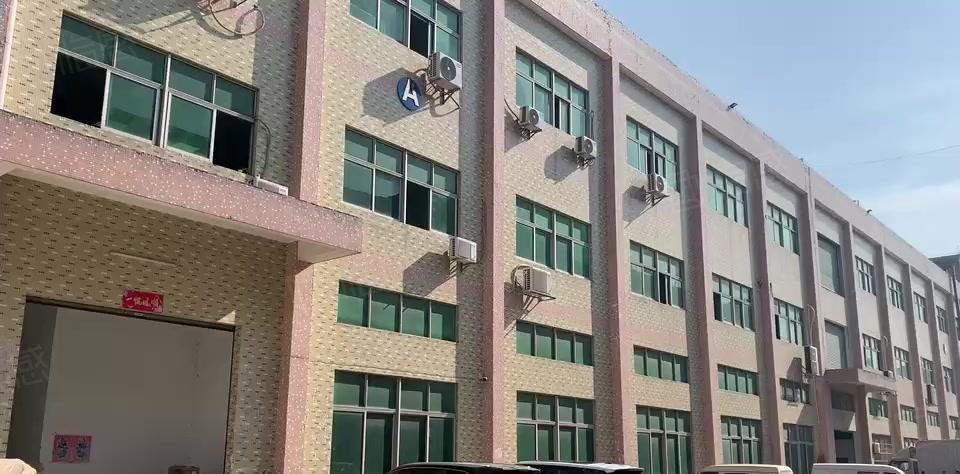 桥头大洲新出原房东标准一楼1800平方6米高带牛角大小可以分