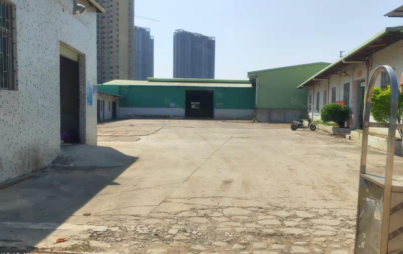 桥头镇新出个人面积单一层钢构厂房650平方，办公宿舍水电齐全