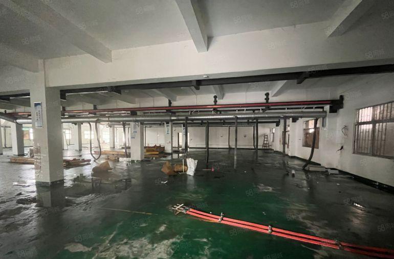 特价10元！桥头新出原房东经典小独院厂房3000平适合各行业