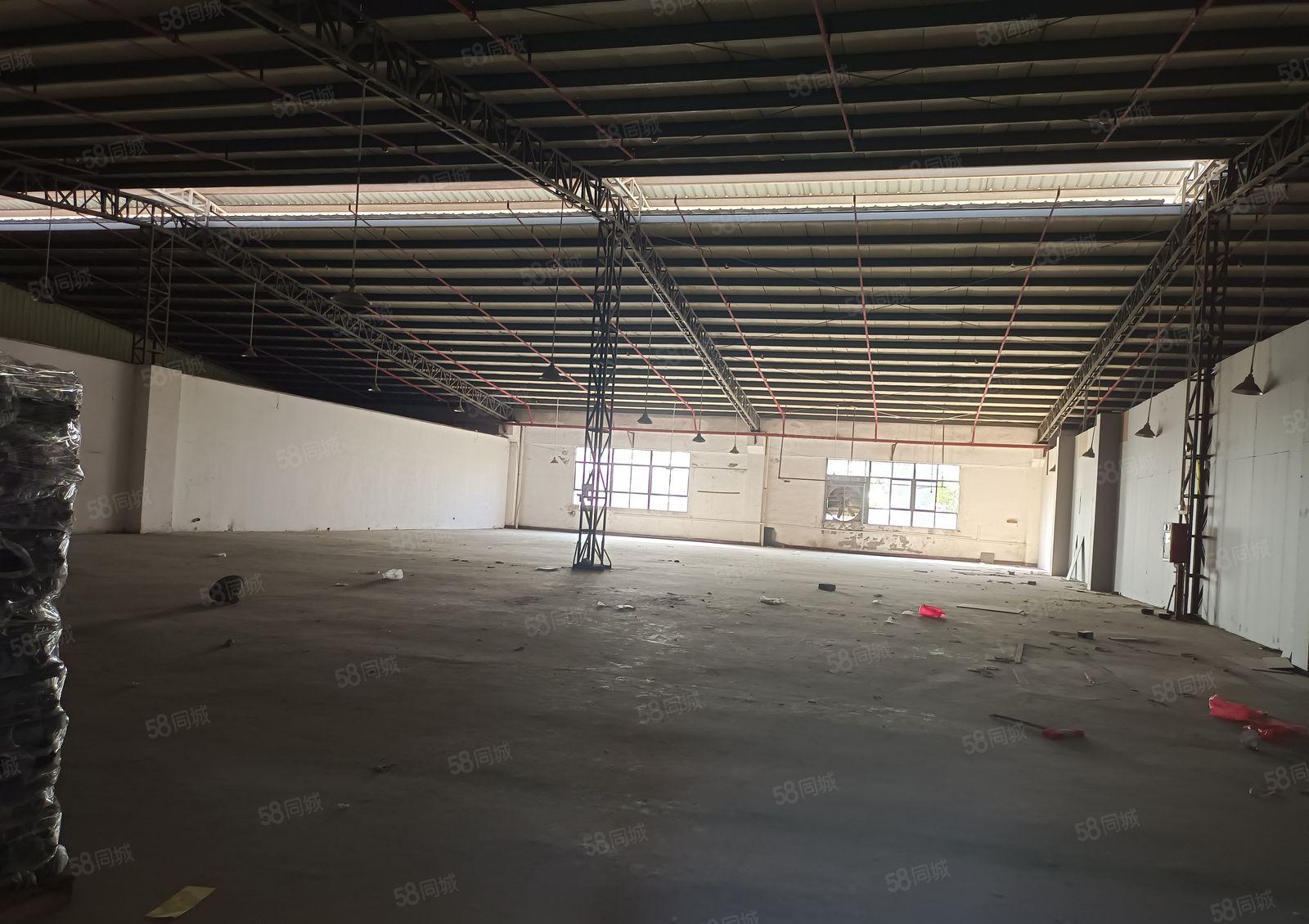 桥头靠企石镇新出原房东小面积钢构厂房1000。一楼滴水9米高