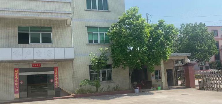 桥头镇原房东独院厂房三层6000平米出租，工业用地能办环评。