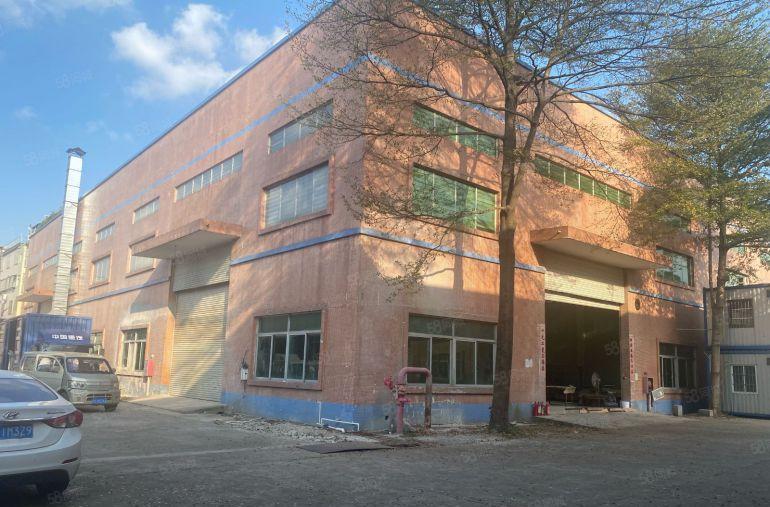 桥头镇新出10米高砖墙结构单一层4000平方米出租。