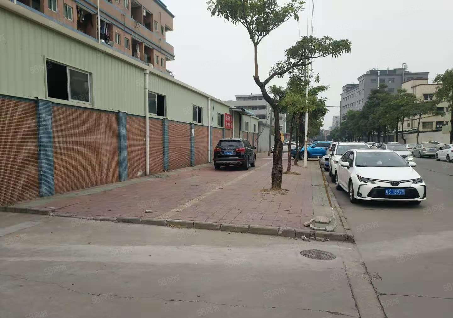 桥头镇新出个人原房东小面积单一层独门独院厂房1700平方出租