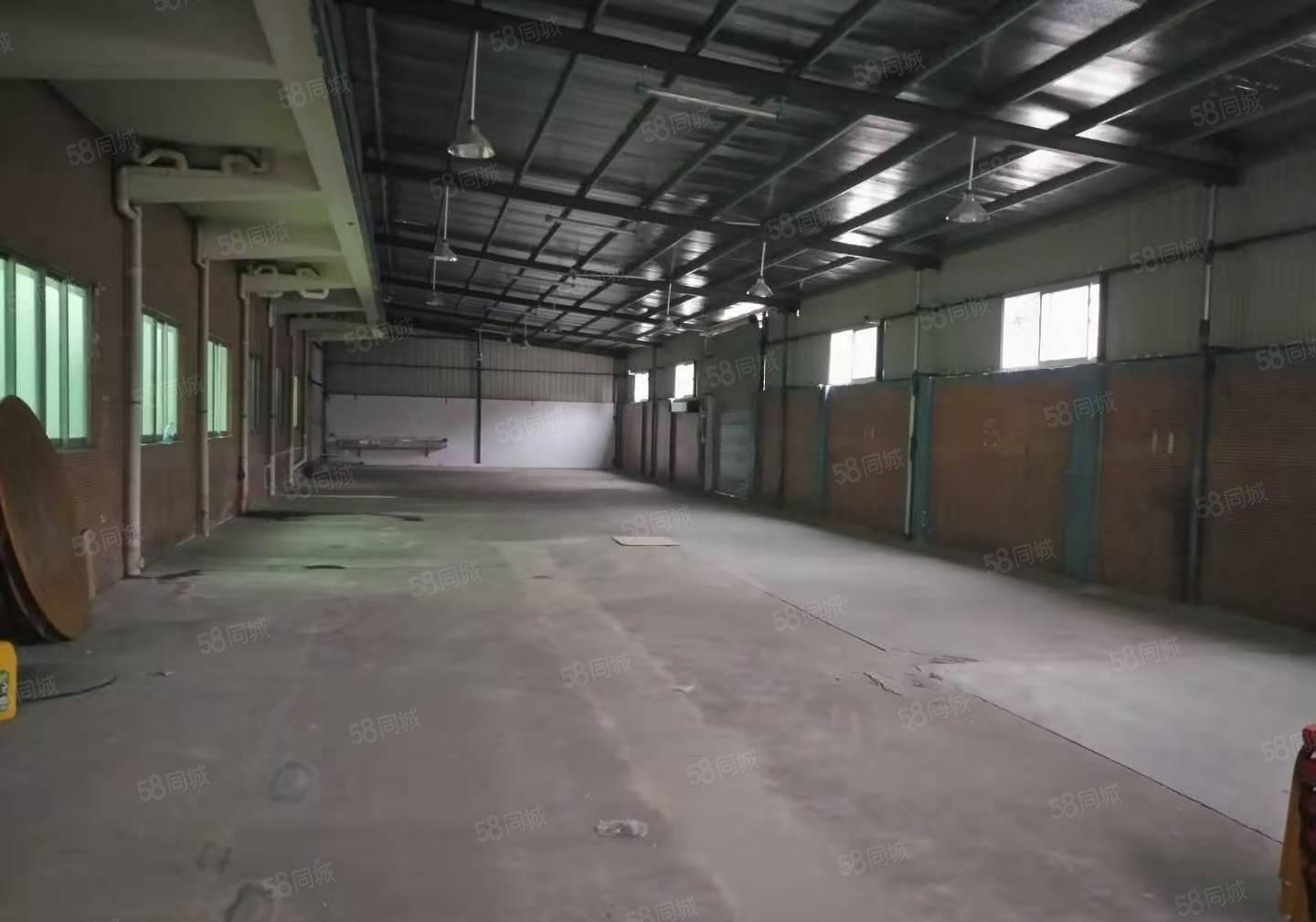 桥头镇新出个人原房东小面积单一层独门独院厂房1700平方出租