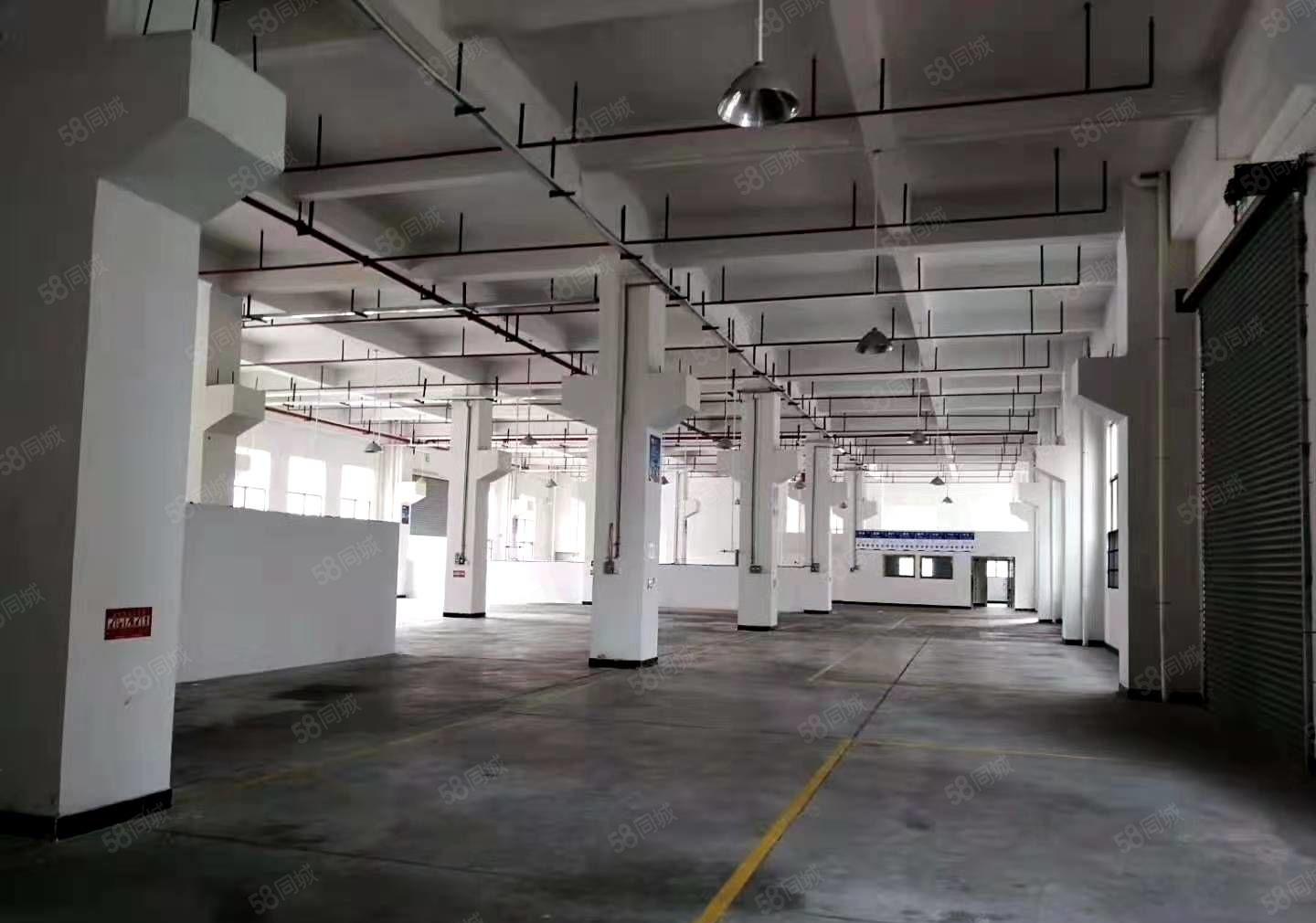 桥头镇原房东独院标准厂房一楼，主线到车间，位于成熟工业区