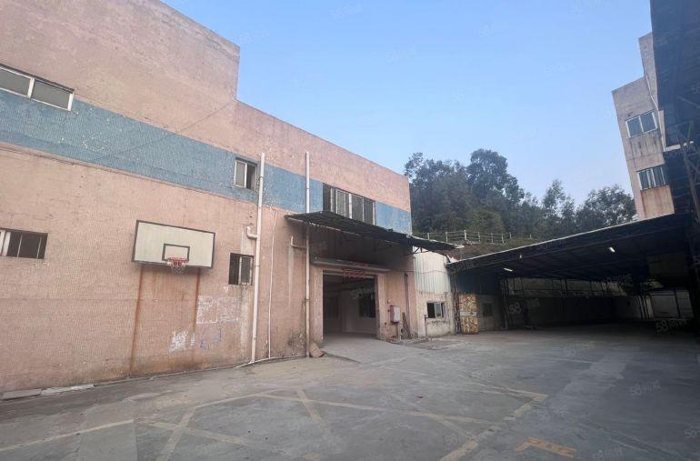 桥头镇12元原房东独门独院 山脚下两层3200方