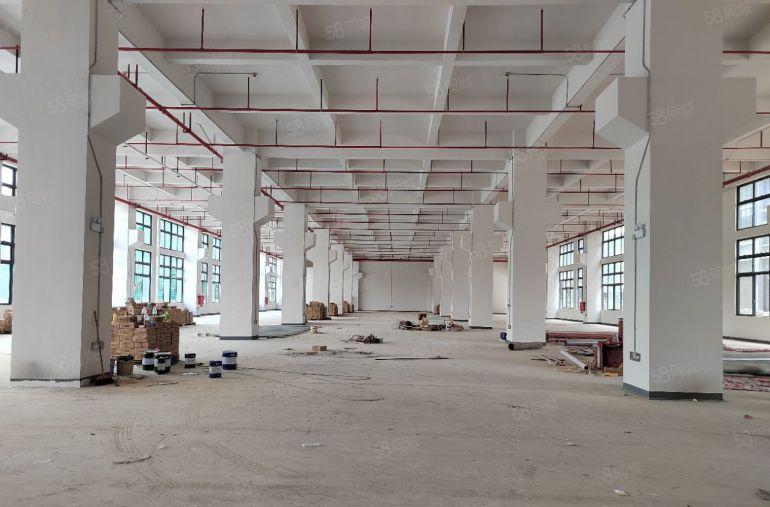 300平起分桥头镇大洲村大型园区 全新厂房45000平出租