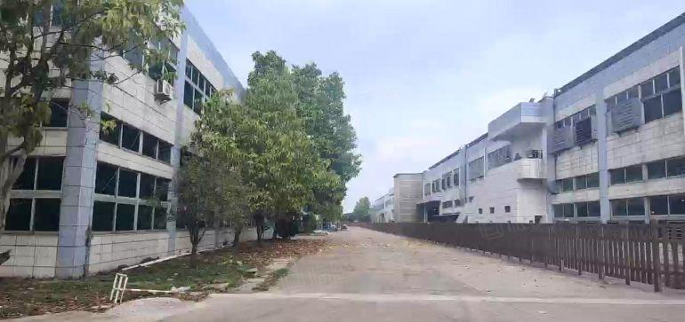 桥头镇原房东实际面积出租12000平方空地5000平两层厂房