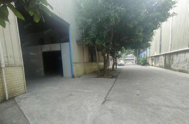 大洲新出原房东单一层厂房2200平方租金18水电自己交