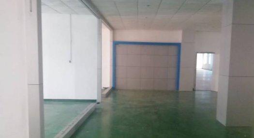 凤岗油甘埔独门独院2600平、带吊顶办公室近主干道