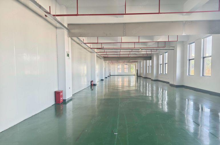 东坑靠松山湖500平起全新高新产业园电商物流仓厂房仓库出租