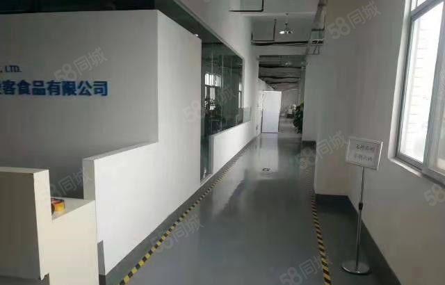 东坑 井美 独栋 小厂房 900平方出租，带精装修