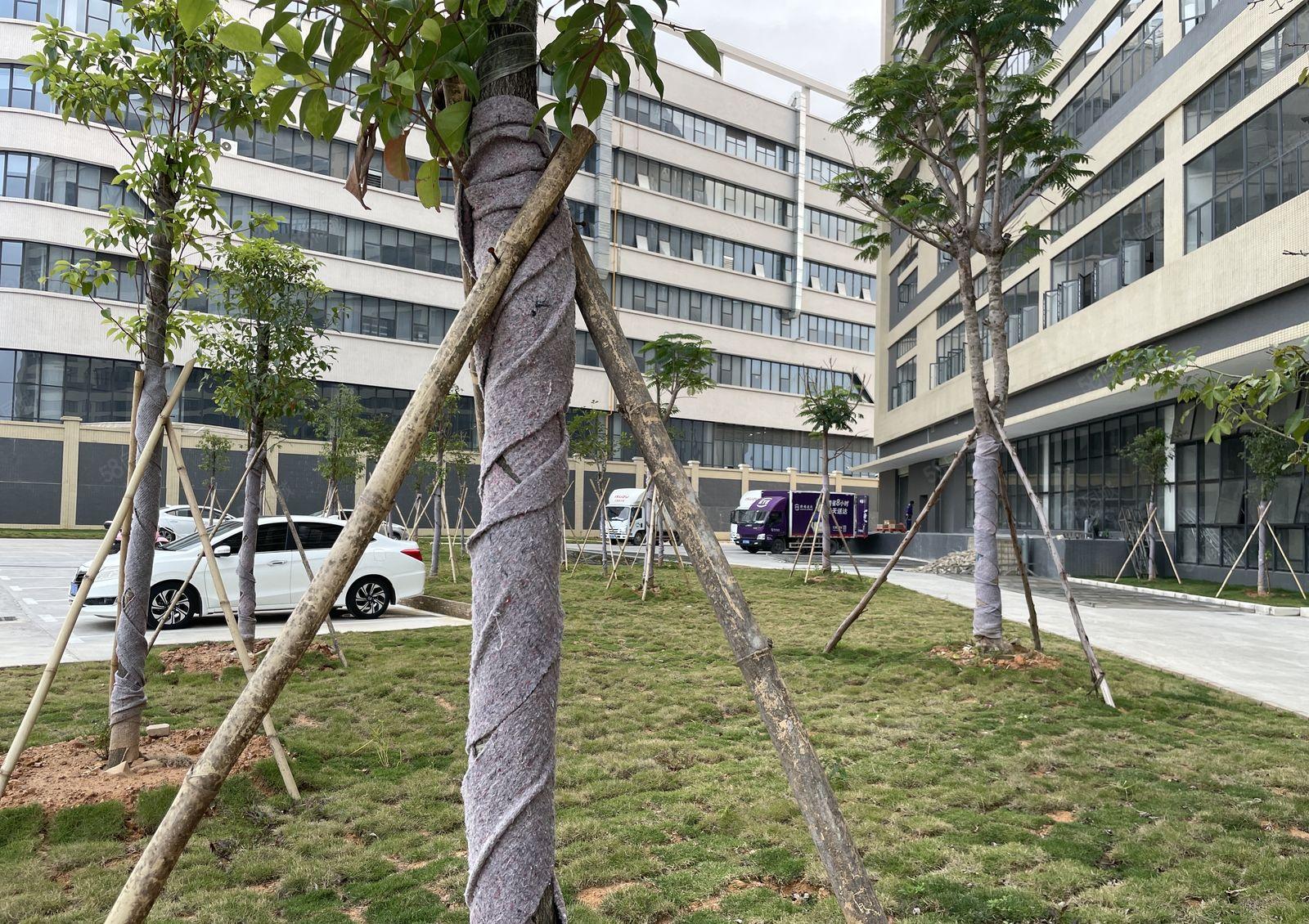 东坑镇工业园标准厂房出租三楼5912平可办环评丙二类消防