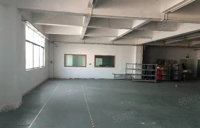 东坑 大地工业区 独院厂房 分租 一楼300平方，价格便宜