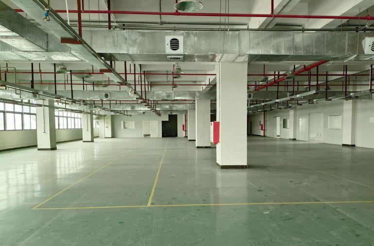 东坑镇工业区原房东标准厂房10块出租带2部5吨货梯低价出租