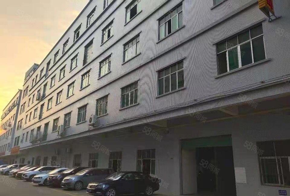 东坑镇精选一楼厂房出租500平方低价招租