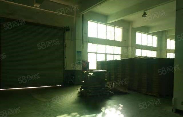 东坑 角社 自用厂房出租 一楼1000平方,无公摊面积