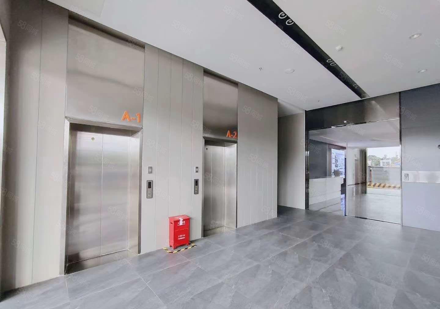 赠免租期！东坑原房东独门独院标准厂房出租，证件齐全 超大空地