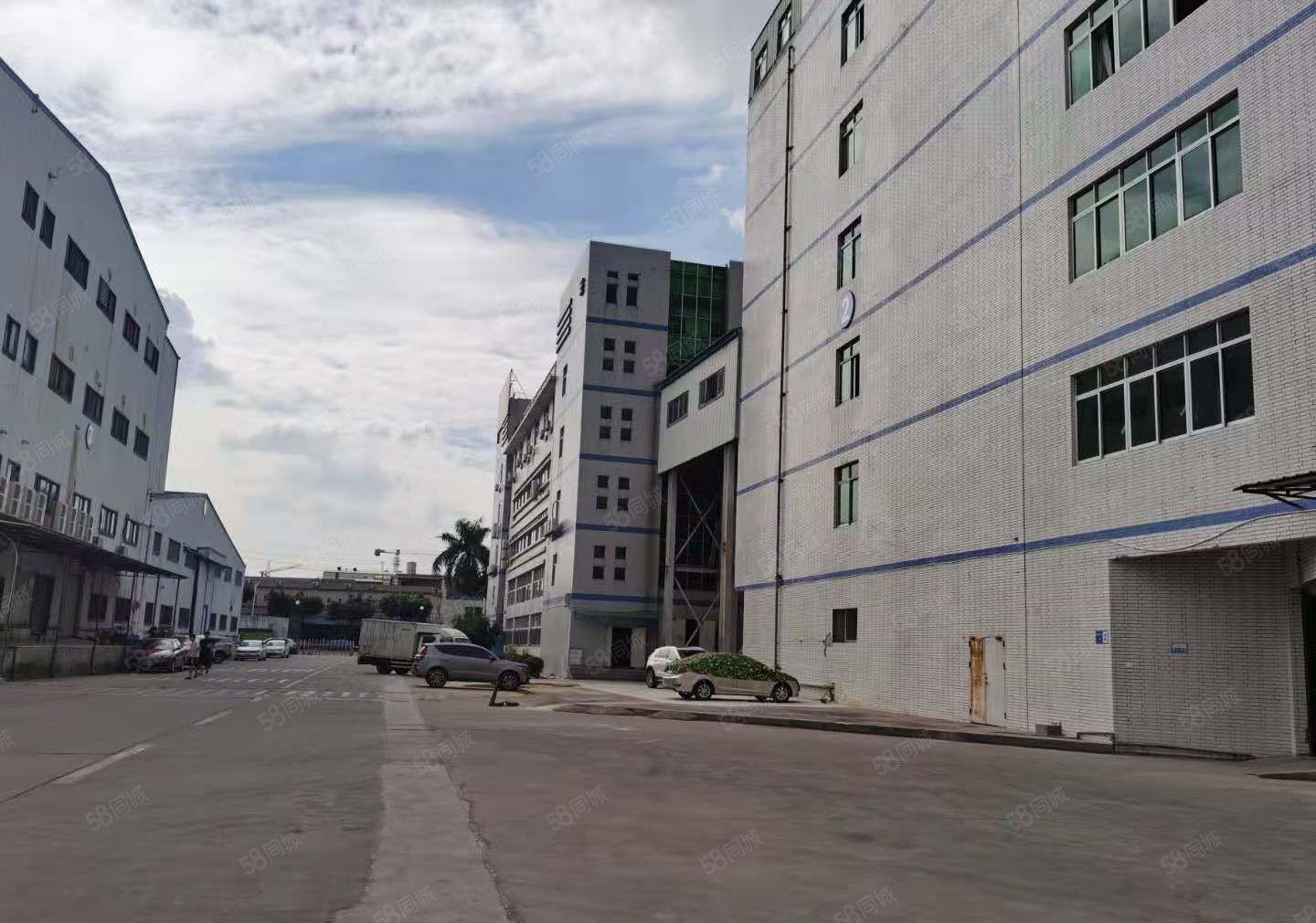 9元清盘 东坑小面积厂房620平 可办环评 消防合格