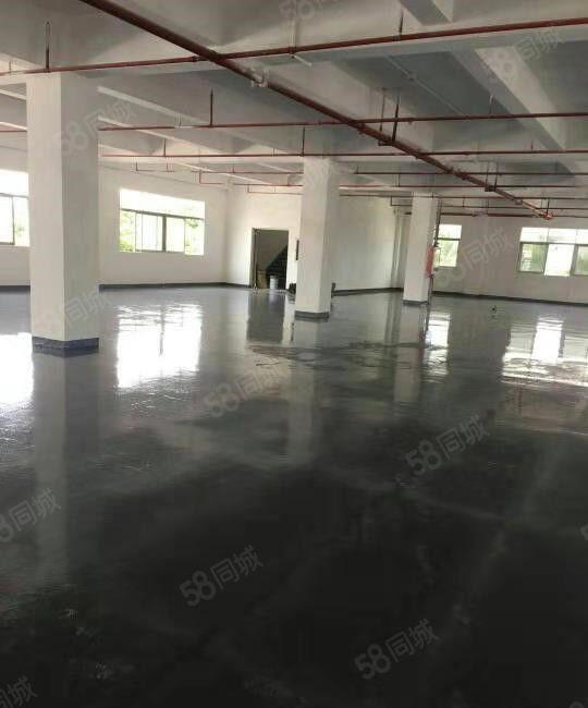 东坑 凤大 高新科技园 二楼 1000平方，带精装修