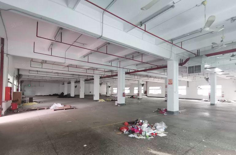 100平起租东坑原房东工业园3000平精装修办公仓库厂房出租