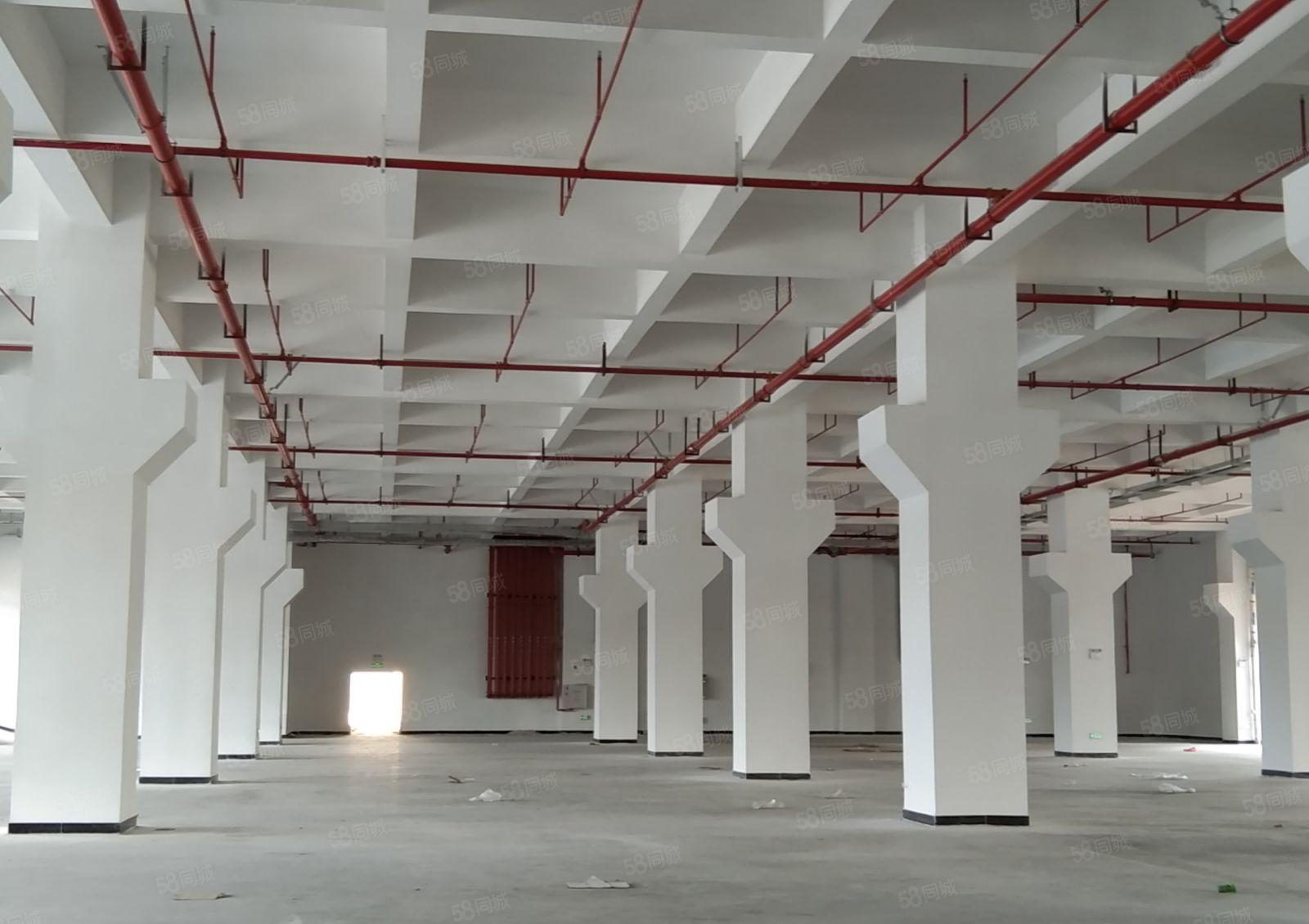 厂房出租，精致装修，地坪漆，办公室，年底特价厂房，2楼以上楼