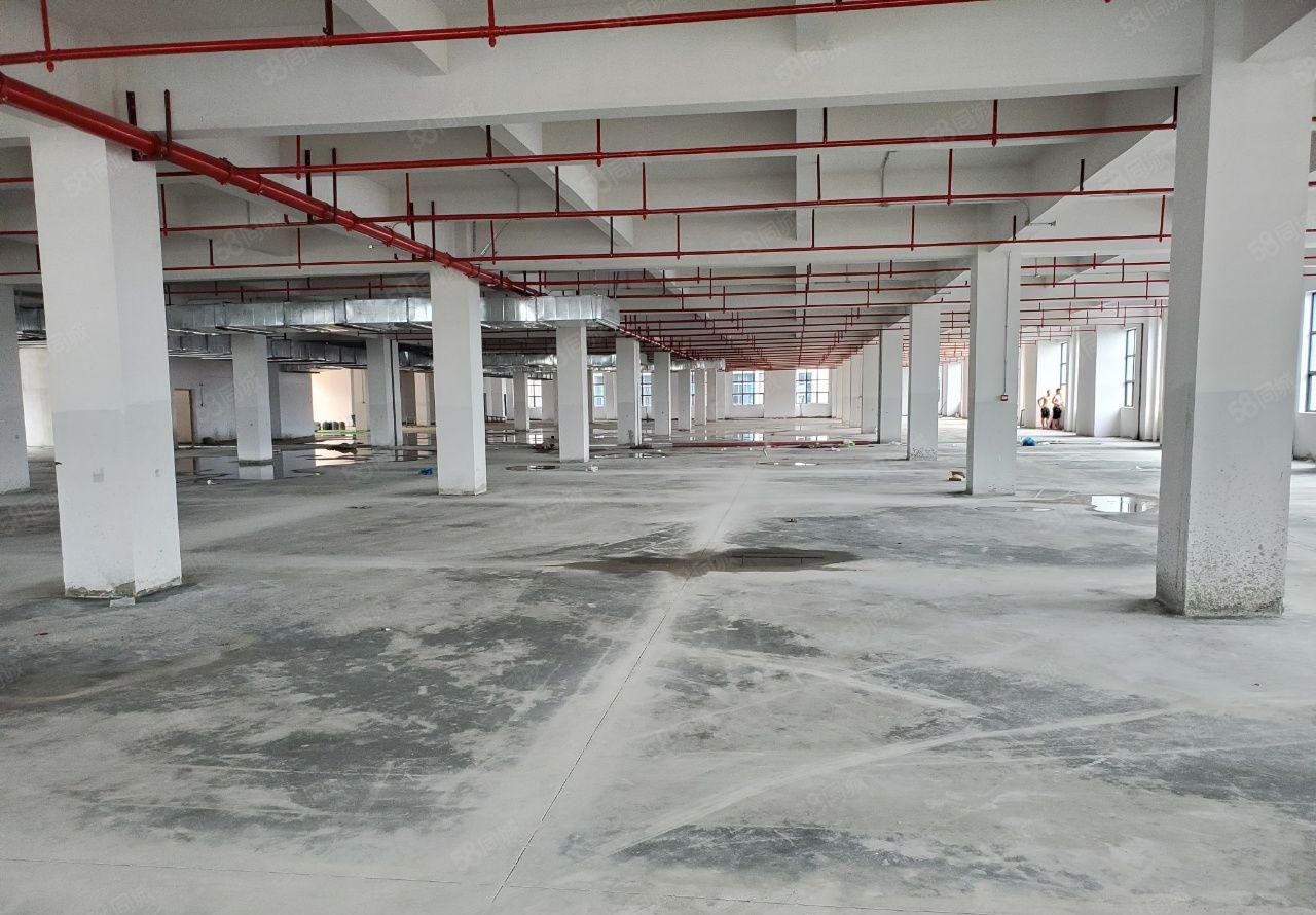 新出原房东带独立办公楼8600平独院 塑胶五金